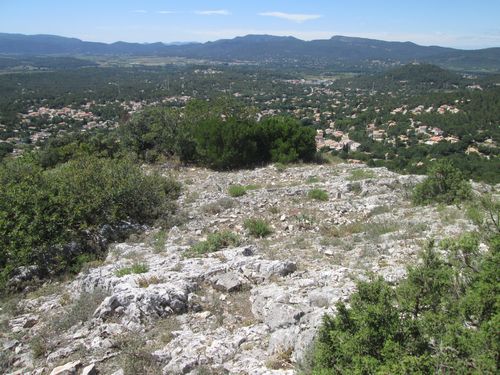 Biotope caillouteux