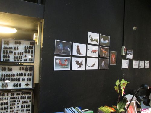 Papillyon 2015